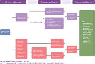 “We just have to help”: Community health workers' informal task-shifting and task-sharing practices for hypertension and diabetes care in Nigeria